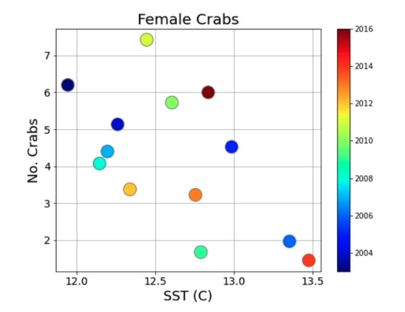 Chart showing number of female crabs per each year from 2004- 2016 measured against the sea surface temperature (SST) in Celsius