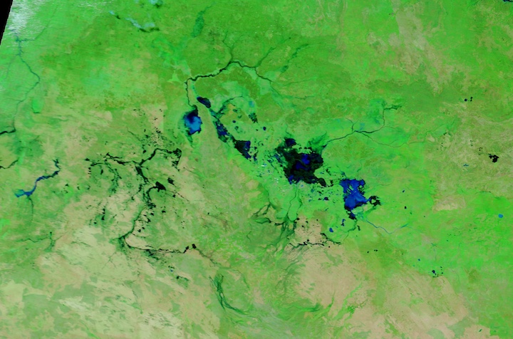 False-color corrected reflectance image showing floodwaters in the Northern Territory, Australia on 13 March 2024 from the MODIS instrument aboard the Terra satellite