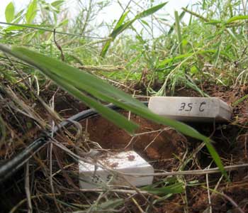 Photograph of soil moisture probes.
