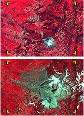 Landsat Mount St Helens false color