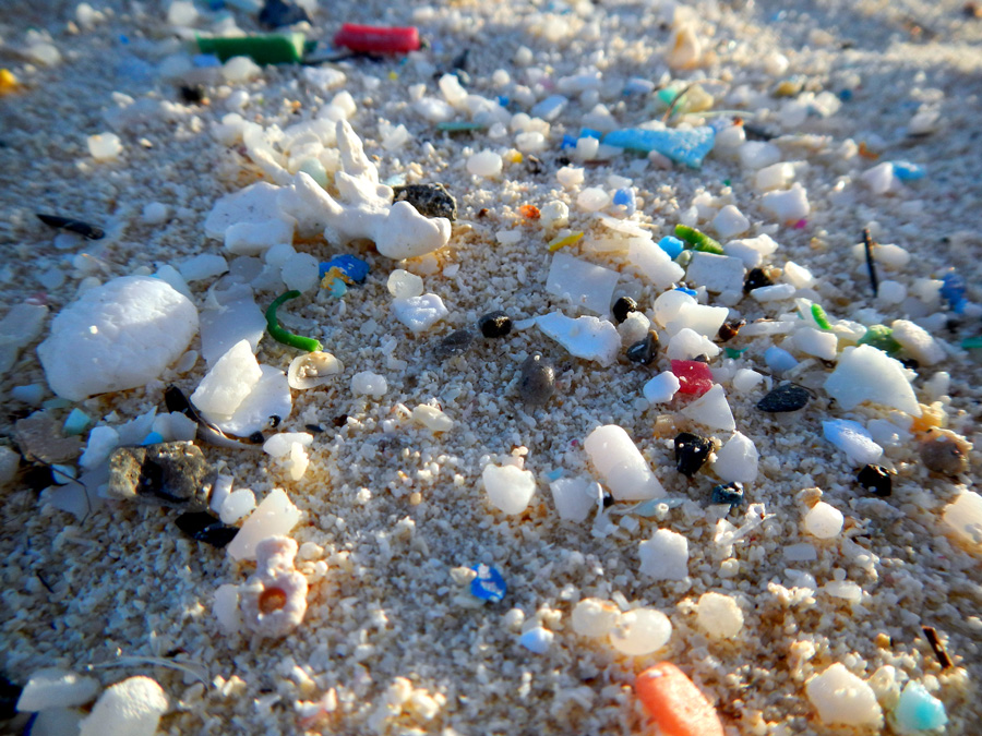 Photograph showing plastic and microplastic pollution