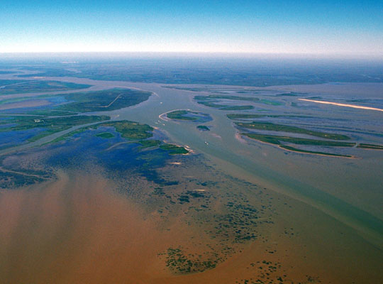 Photograph showing the Atchafalaya River delta