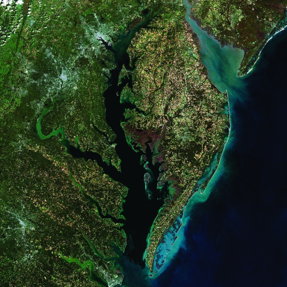 Chesapeake Bay and surroundings, mosaic of 5 Landsat images taken in October and November 2014.