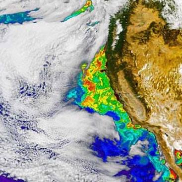 This false-color SeaWiFS image, acquired on October 6, 2002, shows a phytoplankton bloom off the California coast. 