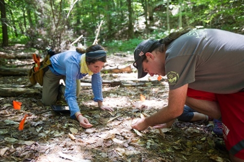 Image of Dr. Michael Dietze and Dr. Istem Fer at a field site in Bartlett, NH.