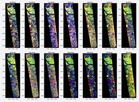 Series of 14 rectangular images acquired by the UAVSAR over a range of false-color bands.
