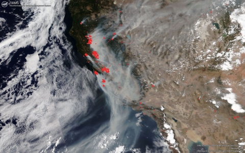 Fire detection data for August 20, from NASA's Fire Information for Resource Management System (FIRMS), shows many fires in California.