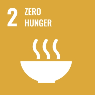 yellow square with number 2 and zero hunger words